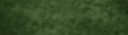 VERT FONCÉ